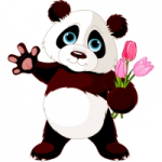Отзывы людей о Интернет-магазин премиум цветов PANDA FLOWERS