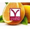 Типография Y-card