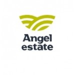 Отзывы людей о Angel Estate агентство недвижимости