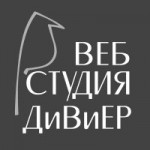 Отзывы людей о Веб студия ДиВиЕР