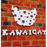 Отзывы людей о Курсы парикмахеров KAWAICAT