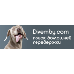 Отзывы людей о Divemby - сервис по передержке питомцев в домашних условиях
