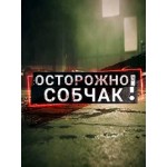 Отзывы людей о Шоу: Осторожно, Собчак!